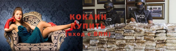СК Волосово