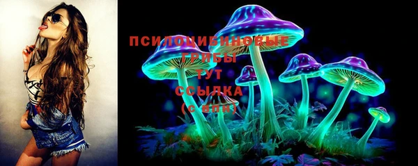 СК Волосово
