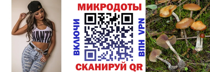 Купить закладки  Лыткарино  Галлюциногенные грибы Psilocybine cubensis 